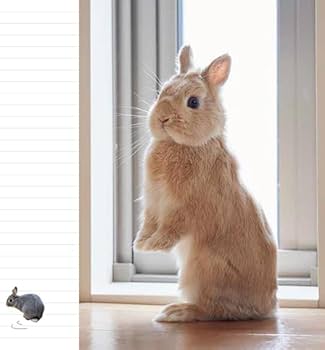 Amazon.co.jp: うさぎのきもち手帳2024 ([バラエティ]) : 東京書店: 本