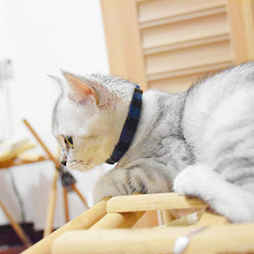 Image of Breakaway cat Collars with Bell, Set of 3, Durable & Safe Cute Kitten Collars Safety Adjustable Kitty Collar for Cat Puppy 7.5-11in (Black,Blue,Orange)