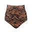 Zebra Striped