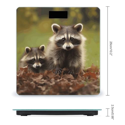 Báscula digital para baño Raccoon Smart Body Weight miniatura 2