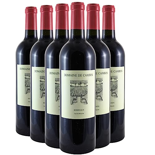 Bordeaux tinto 2019 - Domaine de Cambes - DOP - Burdeos - Francia - Variedades de uva Merlot,Cabernet Franc - 6x75cl