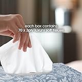 Softy Luxury Box Facial Tissues - Extra Soft 3-Ply - 1680 Tissues (24 x 70 Sheets) - Image 2