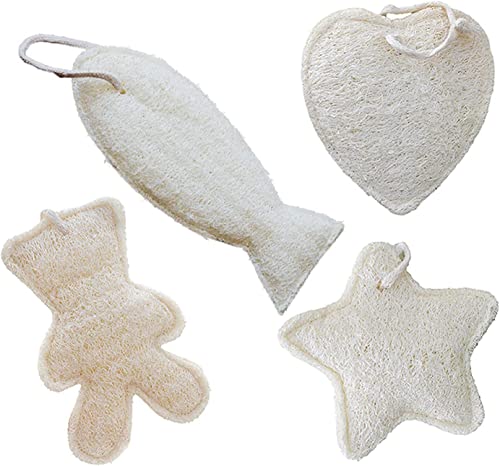 VRw`} w`}X|W ւ܃pbh V[/oX /̂̐ 4