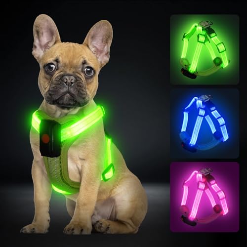 PZRLit Light Up Dog Harness for Small Dogs Rechargeable, LED Dog Vest Harness, Adjustable Illuminated Glow in Dark Dog Harness for Puppy Night Safety Walking 360° True Illumination-Green