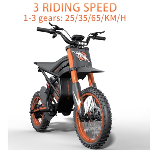 Image of GT73 / GT54 Electric Dirt Bike for Adults Teens - 3000W / 2500W Motor 50 /37 MPH High-Speed, 25 inch /14 inch Fat Tires & Dual Removable Battery(60V /48V) | All-Terrain Off-Road eBike for Snow, Sand