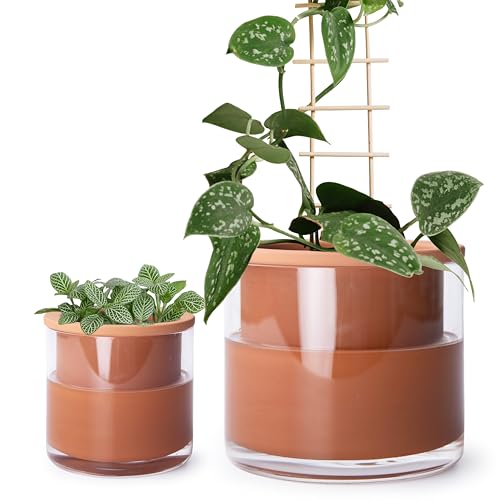 Phoenix Vine 4 Inch 6 Inch Self Watering Plants Pots, Design Terracotta Pots for Plants, Indoor Cylinder Terra Cotta Planter with Glass Vase Set, 51-A-G-46 by Phoenix Vine - Used condition - US$53.85