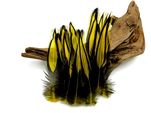 10 Pieces - Sunshine Yellow Laced 4-7" Long Rooster Cape Feathers Fly Tying Whiting Blw Rooster Saddle | Moonlight Feather #TOP3