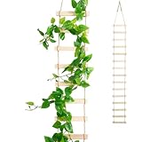 Wooden Ladder Plant Trellis for Climbing Plants – 6ft Extra Tall Indoor & Outdoor Wooden Trellis Garden Plant Support, Easy to Install for Vines, Ivy, Pothos, Monstera, Potted Plants