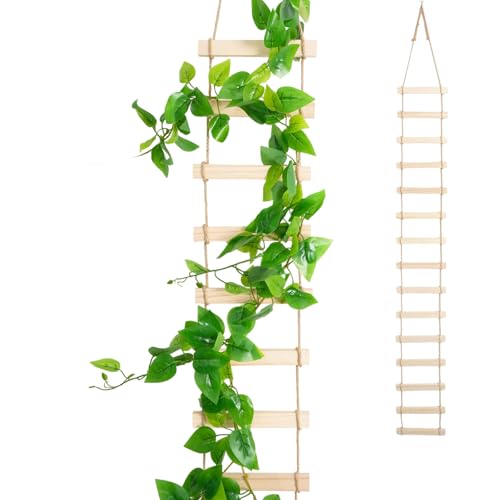Wooden Ladder Plant Trellis for Climbing Plants – 6ft Extra Tall Indoor & Outdoor Wooden Trellis Garden Plant Support, Easy to Install for Vines, Ivy, Pothos, Monstera, Potted Plants