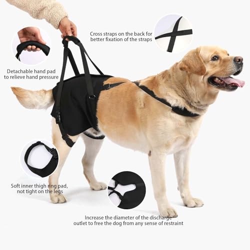 Image of NOYAL Dog Lift Sling for Large Dogs - Hind Leg Support Harness for Senior, Injured, Disabled Dogs, Rear Leg Mobility Aid, Padded Handle for Stairs, Car, Walk