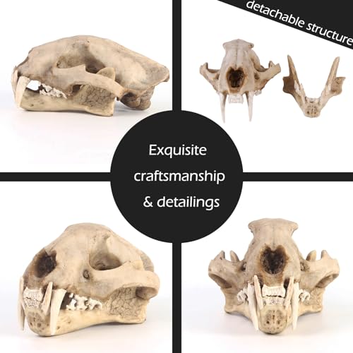 Image of Aquarium Decor Cave Decorations Fish Hideout Betta Tarantula Reptile Snake for Terrarium Ornament Dinosaur Animal Skull Large Bones Halloween