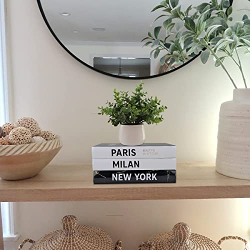 Set Of 3 Fashion Decorative Book,Modern Hardcover Decorative Book Stack,3 Piece Real Blank Books For Decor, Fashion Design Display Books For Coffee Tables/Shelves(Paris/Milan/New York) #TOP4