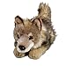 Peluche - Coyote, Canis latrans (Felpa, 22cm) [Juguete] 3511