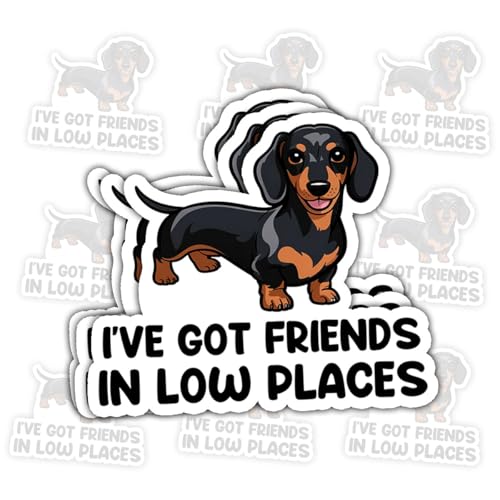 3 Pcs I’ve Got Friends in Low Places Sticker – Funny Quote Vinyl Decal Waterproof for Laptop, Tumbler, Water Bottle – Gift for Music Lovers, Country Fans, and Sarcastic Souls – 3 Inch