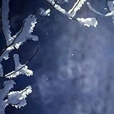 please blazer kariert  Please melt together in a blaze and loneliness.