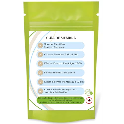 Encuentra reviews de Semillas cyca revoluta - los mas comprados. 2 Imagen adicional