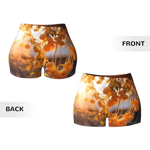 Dried Persimmon Pattern Sports Shorts, high Elastic Slim Fitness Pants, Suitable for Yoga/Leisure/Daily wear3