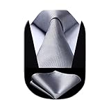 [Enlision] フォーマル シルバー ネクタイ チーフ セット メンズ シルク 結婚式無地 礼服用 紳士 プレゼントTC626A8S EC-02