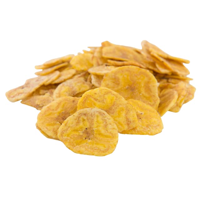 Lightly Sea Salted Plantain Chips 2 lbs. | Dehydrated, No Added Preservatives, Resealable Bag | Crisp & Savory Snack Alternative | Top 14 Allergen-Free