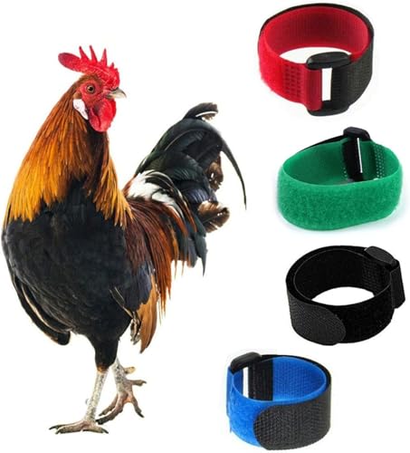 Image of 2pcs Rooster Anti-Hook Noise-Free Nylon Collar, Black, 10 inches
