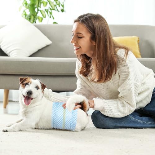 Image of Disposable Belly Bands for Male Dog, Super Absorbent L 20 Count | Soft & Super Absorbent Dog Wraps with Wetness Indicator, Leakproof Protection for Training, Incontinence