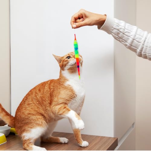 Classicseali 6 Stück Magic Twisty Worm,Interaktives Wurm Katzenspielzeug,Wurm Spielzeug für zum Spielen mit Katzen Jeden Alters,um Ihr Glück zu steigern,Regenbogenfarben