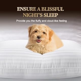 SHERWOOD Pillows King Size 2 Pack Hotel Pillow with Cotton Cover and Down Alternative Fiber Fill Bed Pillow for Sleeping (White, King 20x36 inch)