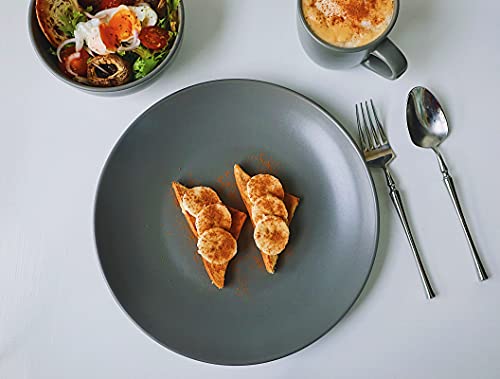 Famiware Dinnerware Set, 16 Piece Dishes Set, Plates And Bowls Set For 4, Gray Matte… #TOP2