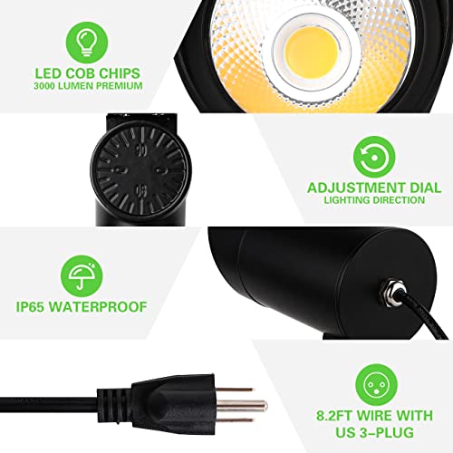 Intwell 30W Led Landscape Spotlight, Flag Pole Light,110-260V Outdoor Spotlights Weatherproof Landscape Lighting With Stake Us, 3-Plug 8.2Ft Cord 2Pack, 3000Lm,(6000K Cool White) #TOP4