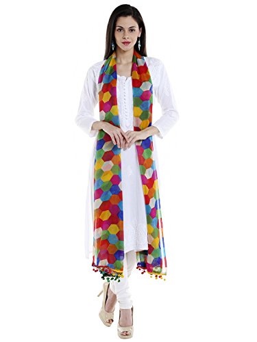 Women's Multicoloured Printed Chiffon Dupatta2