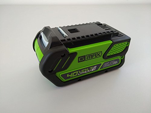 Preisvergleich Produktbild 40V Akku 6Ah (2923307)