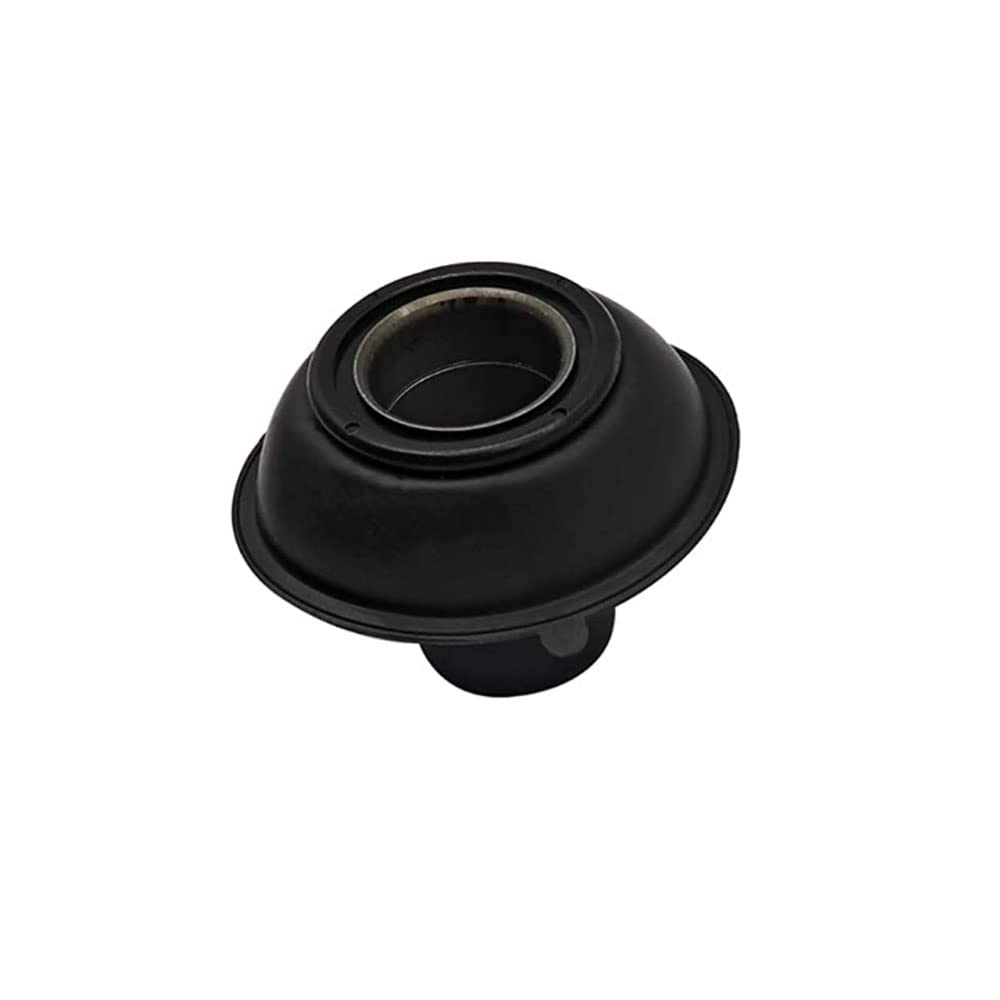 Riloer Juego de reconstrucción de carburador, kit de reparación de carburador compatible con Honda Steed Shadow 600, VT 600, VLX 600 1994-2003