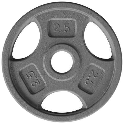 Yes4All 1 Inch Grip Cast Iron Weight Plates for Dumbbells – Standard Weight Plates - 2.5lb - Single