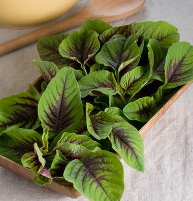 Golden Hills Farm® (AVG 10000-20000) seeds Amaranthus(Green) Seeds Easy Growing Microgreens Seeds For Aquaponics Home Garden Seeds (B08679J8V3) Amazon Price History, Amazon Price Tracker