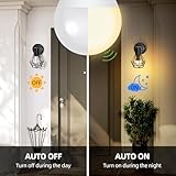 Aigostar B0D3PVGJTN lato 2