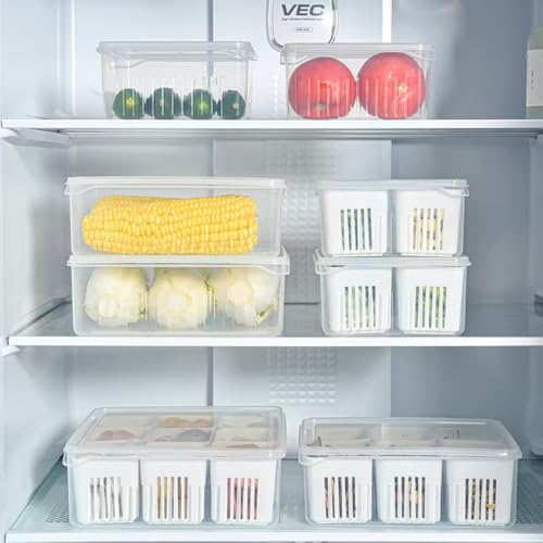 Image of TASMAX Fridge Storage Boxes, Plastic Fridge Containers, Fridge Accessories Items, (FRIDGE CONTAINER LARGE BOX-9 GRID)