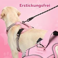 Funfox Anti Zug Hundegeschirr Mittelgroße Hunde mit Frontclip, Rosa | Vertikaler Griff, Verstellbar, 2 D-Ringe, Gepolstert, Nachts Reflektierend, für Kleine Mittlere Grosse Hunde, M – Ansicht 4