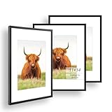 Golden State Art, 11x14...