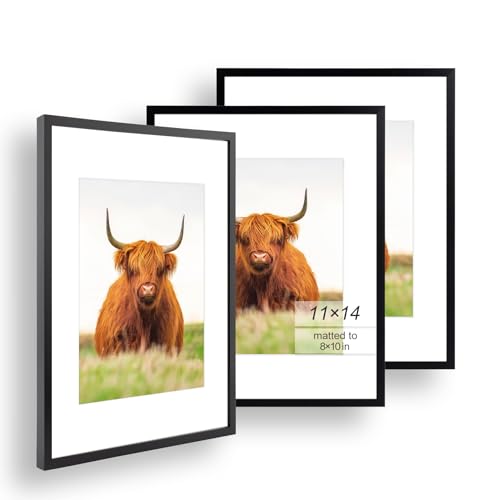 Image of Golden State Art 11x14 Picture Frame for 8x10 Pictures, Plastic /Plexiglass | Fits 8x10 with Mat,Fits 11x14 without Mat Horizontal or Vertical Display, Wall Mount Display, Thin Border, Black, 3 Pack