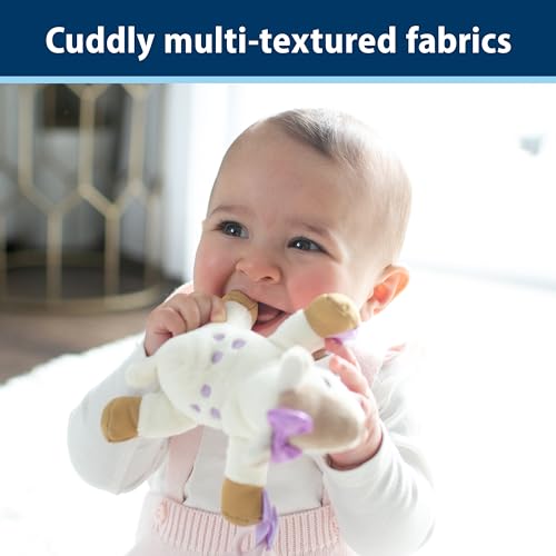 Dr. Brown's Baby Lovey Pacifier and Teether Holder, Deer with Pink HappyPaci, 100% Silicone, 0-6m (Packaging May Vary)