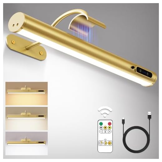 Hapfish LED Akku Wandleuchte Kabellos Innen, Bilderleuchte Kabellose mit Fernbedienung, Dimmbare Magnet Wandlampe Ohne Stromanschluss, Bildbeleuchtung Akku für Wand Dartscheibe Spiegel