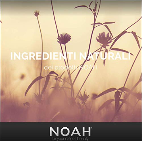 Noah 1.1, shampoo volumizzante agli agrumi, 250 ml...