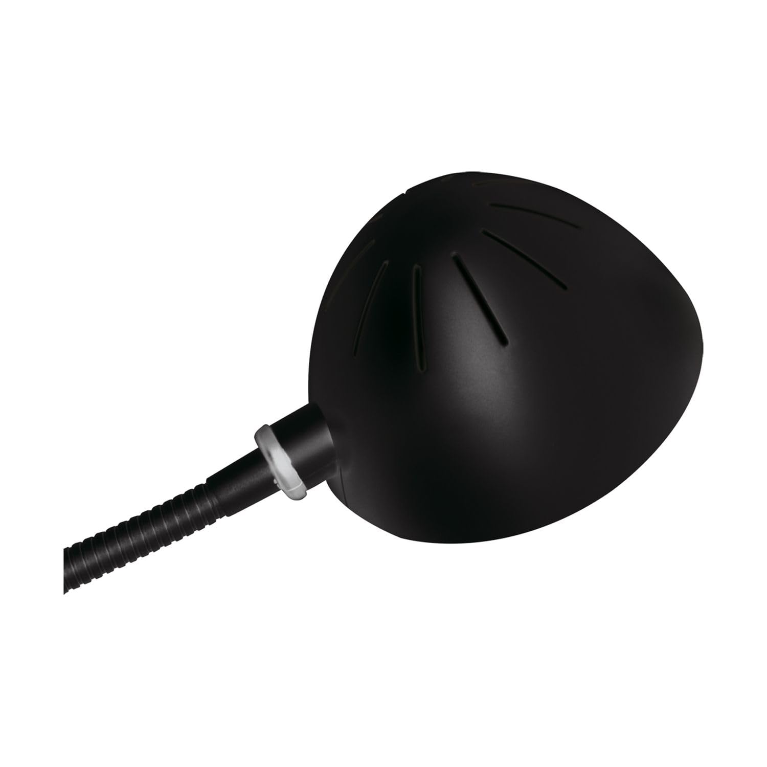 Licht-Erlebnisse Klemmleuchte LED Schwarz 4100 K 248 lm Flexarm 60 cm verstellbar Edelstahl Tischlampe zum Klemmen Tischleuchte Arbeitsplatz Leselampe