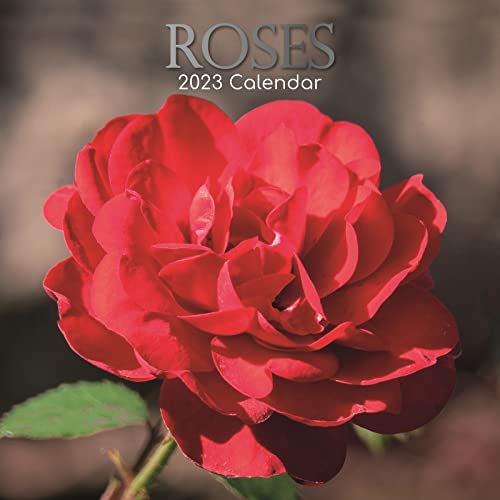 2023 Square Wall Calendar, Roses, 16-Month Floral Theme With 180 Reminder Stickers (12X12 In) #TOP25