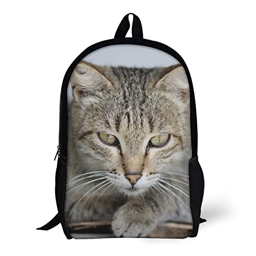 Sac à dos imprimé chat 3D, le compagnon des journées de cours - 5