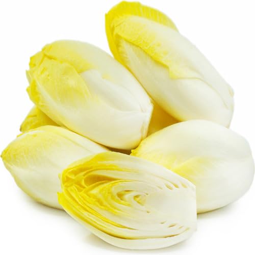 100pcs Endive Vegetable Seeds