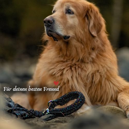 Ben&Bruno Hundehalsband | Breit & Verstellbar | 100% Handgefertigt | Robust, Sicher & Langlebig | Starkes Paracord Halsband | Halsbänder für Kleine, Mittelgroße & Große Hunde | Schwarz - L