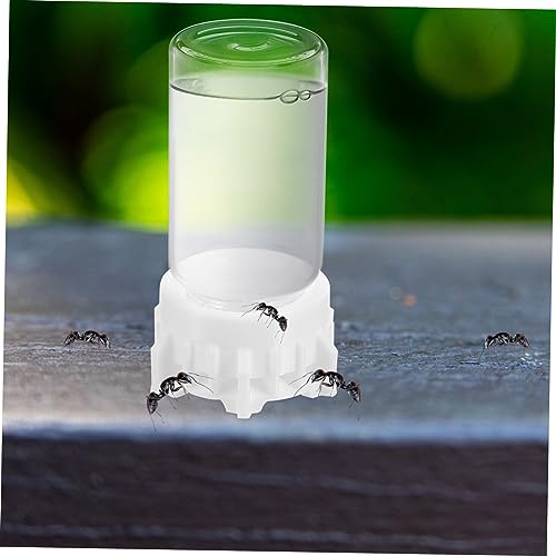Toddmomy Wasserspender für Haustiere, Tränke für Ameisen, Flüssigkeitsspender für Ameisen, Ameisen, Wasserflasche für Ameisen