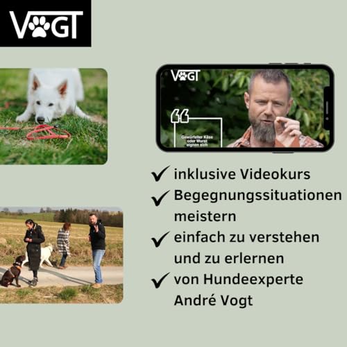 VOGT-Trainingsleine| von André Vogt |inklusive Videokurs Begegnungstraining| Schleppleine | ideale Länge 3m| original Biothane| (gelb)