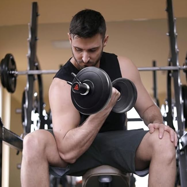 16 Olympic Dumbbell Handle, Loadable Dumbbells for 2-inch Olympic Weight Plates, Dumbbell Bar for Home Gym Strength Training, 2 Pair of Spring Collars Included